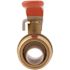 SharkBite 3/4 in. Push-to-Connect x FIP Brass Ball Valve