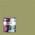 1 gal. Sage Cabinets, Countertops, Furniture and More Multi-Surface All-in-One Interior/Exterior Refinishing Paint