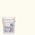 CALIWEL 5 gal. Off White Latex Interior Paint