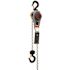 JET 3/4T LVR HST 20' LIFT&OLP