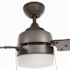 Carrington 60 in. Indoor/Outdoor Ceiling Fan with Led Dome Light Kit, Natural Iron with Black Blades