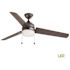 Carrington 60 in. Indoor/Outdoor Ceiling Fan with Led Dome Light Kit, Natural Iron with Black Blades