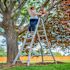 Little Giant Ladder Systems Velocity 22 ft. Aluminum Multi-Position Ladder with 300 lb. Load Capacity Type 1A Duty Rating