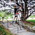 LITTLE GIANT LADDER SELECT STEP 6'-10' FG