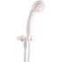 Premier 3-Spray 2.7 in. Face Diameter Wall Mount Handheld Shower Head in White