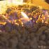 Pleasant Hearth 4 oz. Glowing Ember Fiber Pellet Bag