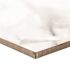Home Decorators Collection 12 in. x 24 in. Carrara Polished Porcelain Floor and Wall Tile (16 sq. ft./case)
