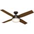 Hunter Dempsey 52 in. LED Indoor/Outdoor Matte Black Ceiling Fan with Light and Remote