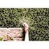 Rain Bird 1800 Series 4 in. Pop-Up Sprinkler, 0-360 Degree Pattern, Adjustable 8-15 ft.