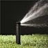 Rain Bird 1800 Series 4 in. Pop-Up Sprinkler, 0-360 Degree Pattern, Adjustable 8-15 ft.