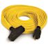 Champion Power Equipment 25 ft. 30 Amp 125-Volt Fan-Style Flat Generator Extension Cord