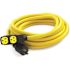 Champion Power Equipment 25 ft. NEMA L14-30P to 4x 5-20R Generator Cord in Yellow