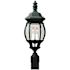 Generation Lighting Wynfield 2-Light Black Outdoor Post Top with Clear Beveled Glass