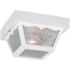 Generation Lighting 10.25 in. W. 2-Light White Outdoor Ceiling Fixture