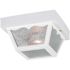 Generation Lighting 10.25 in. W. 2-Light White Outdoor Ceiling Fixture