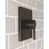 Premier Seasons Westwind Single Handle Tub and Rainshower 1.8 GPM Showerhead in Matte Black