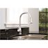 Premier Muir Single-Handle Pull-Down Sprayer Kitchen Faucet in Chrome