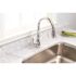 Premier Muir Single-Handle Pull-Down Sprayer Kitchen Faucet in Chrome