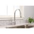 Premier Muir Single-Handle Pull-Down Sprayer Kitchen Faucet in Chrome