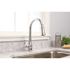 Premier Muir Single-Handle Pull-Down Sprayer Kitchen Faucet in Chrome