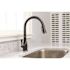 Premier Muir Single-Handle Pull-Down Sprayer Kitchen Faucet in Oil Rubbed Bronze