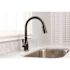Premier Muir Single-Handle Pull-Down Sprayer Kitchen Faucet in Oil Rubbed Bronze