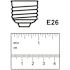 40-Watt Equivalent G25 Globe Dimmable Filament Clear CEC Title 20 E26 LED Vintage Edison LIght Bulb, Daylight (36-Pack)