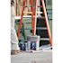 Wooster Sherlock GT Convertible 4 ft. to 8 ft. Adjustable Extension Pole