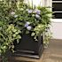 Mayne Fairfield 20 in. Square Self-Watering Black Polyethylene Planter
