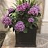 Mayne Fairfield 20 in. Square Self-Watering Black Polyethylene Planter