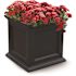 Mayne Fairfield 20 in. Square Self-Watering Black Polyethylene Planter