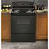 GE 30 in. 4 Burner Element Free-Standing Electric Range in Black