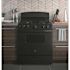 GE 30 in. 4.8 cu. ft. Freestanding Gas Range in Black