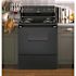 Hotpoint 30 in. 4 Burner Element Free-Standing Electric Range in Black