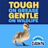 Dawn Ultra 5.8 Oz. Original Scent Liquid Hand Soap Case Of 18