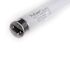 Halco 48" Fluorescent T8 Tube, Medium Bi-Pin, 3150 Lumens, 3500k, 32 Watts