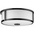 Progress Lighting Gilliam 2-Light Flush Mount, 12.6", Matte Black, Frosted