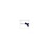 Irion Plastic Pu Foam Gun, Package Of 10