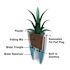 Mayne Caprio 26" Tall Planter - White