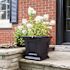 Mayne Fairfield 16x16 Square Planter - Black