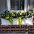 Mayne Fairfield 4ft Window Box - White