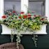 Mayne Fairfield 4ft Window Box - White