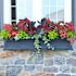 Mayne Fairfield 5ft Window Box - Black