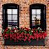 Mayne Fairfield 5ft Window Box - Black