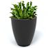 Mayne Caprio 18" Tall Planter - Black