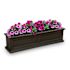 Mayne Fairfield 4ft Window Box - Espresso