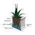 Mayne Fairfield 20x20 Square Planter  - Graphite Grey