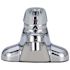 Zurn Deck-Mount Manual Faucet W/Grid Strainer 0.5 GPM Aerator - Chrome Finish