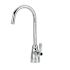 Zurn Lab Gsneck Faucet W/0.5 GPM Pressure-Comp Spray 5 3/8â€ Spout / Lever Handle