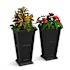 TALL PLNTR 7847-B PK2